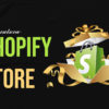 I will create your shopify store